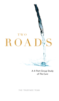 Two Roads: The Cure Group Study: What if God isn't who you think He is and neither are you 1734880597 Book Cover