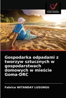 Gospodarka odpadami z tworzyw sztucznych w gospodarstwach domowych w mieście Goma-DRC 620364675X Book Cover