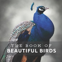 Beautiful Birds: Picture Book For Seniors With Dementia (Alzheimer's) B08L3ZWJ1C Book Cover