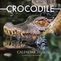 Crocodile Calendar 2020: 16 Month Calendar 1688616535 Book Cover