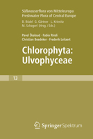 Freshwater Flora of Central Europe, Vol 13: Chlorophyta: Ulvophyceae (S��wasserflora Von Mitteleuropa, Bd. 13: Chlorophyta: Ulvophyceae) 3662554941 Book Cover