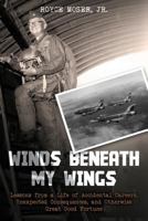 Winds Beneath My Wings: Lessons from a Life of Accidental Careers, Unexpected Consequences, and Otherwise Great Good Fortune 1981732683 Book Cover