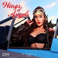 Wings of Angels 2019 Wall Calendar 1772182974 Book Cover