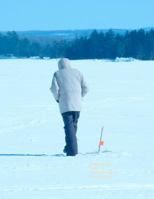 Investments: Theory, Behavioral Aspects and Applications 1478365641 Book Cover