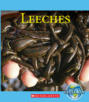 Leeches (Nature's Children) 0531213943 Book Cover