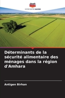 Déterminants de la sécurité alimentaire des ménages dans la région d'Amhara 6206245594 Book Cover