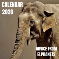 Advice From Elephants Photo Book Calendar 2020 with elephant inspirational quotes 1659430925 Book Cover