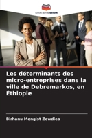 Les déterminants des micro-entreprises dans la ville de Debremarkos, en Éthiopie (French Edition) 6208513243 Book Cover