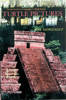 Turtle Pictures (Camino Del Sol) 0816519668 Book Cover