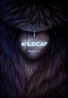 Wildcat 173300341X Book Cover