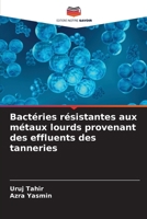 Bactéries résistantes aux métaux lourds provenant des effluents des tanneries (French Edition) 620279044X Book Cover