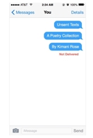 Unsent Texts 1077129068 Book Cover