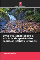 Uma avaliação sobre a eficácia da gestão dos resíduos sólidos urbanos 6205806274 Book Cover