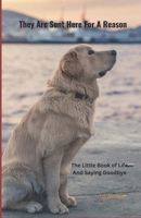 They Are Sent Here For A Reason: The Little Book Of Love And Saying Goodbye B0DWHJY5MM Book Cover