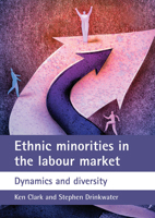 Ethnic minorities in the labour market: Dynamics and diversity 1861349599 Book Cover