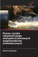 Ocena ryzyka rakotwórczego wielopierscieniowych weglowodorów aromatycznych (Polish Edition) 6209644058 Book Cover