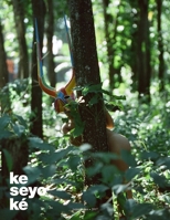 Keseyoke 1387199889 Book Cover