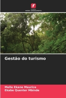 Gestão do turismo (Portuguese Edition) 6207599179 Book Cover