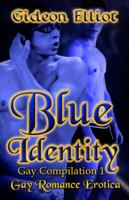 Blue Identity: Gay Romance Erotica 1627613579 Book Cover