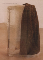 David Hammons Is on Our Mind 0984960945 Book Cover