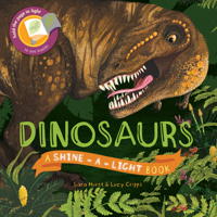 Shine-a-Light: Dinosaurs: A Shine-a-Light Book 161067717X Book Cover