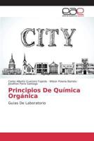 Principios de Quimica Organica 3639733754 Book Cover