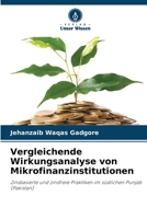 Vergleichende Wirkungsanalyse von Mikrofinanzinstitutionen (German Edition) 6208566169 Book Cover
