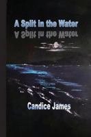 A Split in the Water 177403395X Book Cover