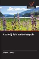Rozwój lak zalewowych (Polish Edition) 6202334134 Book Cover