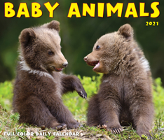 Baby Animals 2021 Box Calendar 1549214152 Book Cover