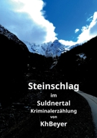 Steinschlag im Suldnertal: Kriminalerzählung 3753407372 Book Cover