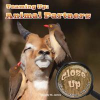 Finding a Mate: Animal Companions 1627176322 Book Cover