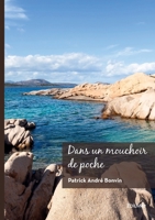 Dans un mouchoir de poche: Recueil (French Edition) 2414806001 Book Cover