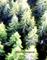 Cahier Hexagonal: 150 pages avec des hexagones pour prendre vos notes de chimie organique, biochimie (�tudiants, professeurs et professionnels) 1707912599 Book Cover