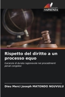 Rispetto del diritto a un processo equo (Italian Edition) 6208342805 Book Cover