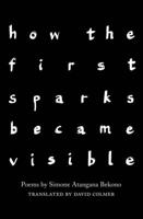 How the first sparks became visible 1912915553 Book Cover