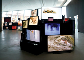 Douglas Gordon: Pretty Much Every Film and Video Work from about 1992 Until Now'ish... 8836663249 Book Cover