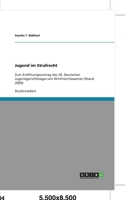 Jugend im Strafrecht: Zum Eröffnungsvortrag des 26. Deutschen Jugendgerichtstages von Winfried Hassemer (Stand 2005) 3638912949 Book Cover