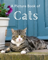 A Picture Book of Cats: A Beautiful Picture Book for Seniors With Alzheimer’s or Dementia. A Wonderful Gift for Cat Lovers. B08L89WZVT Book Cover
