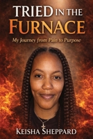 Tried in the Furnace my Journey from pain to Purpose B0GSWD2VJW Book Cover