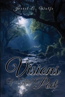 Visions of a Gifted Poet B0H1NZC7N1 Book Cover