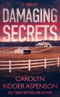 Damaging Secrets 1648754341 Book Cover