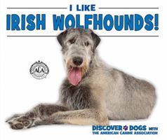 I Like Irish Wolfhounds! 0766086429 Book Cover