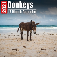 Calendar 2021 Donkeys: Cute Donkey Photos Monthly Mini Calendar With Inspirational Quotes each Month B08DBVZXTZ Book Cover