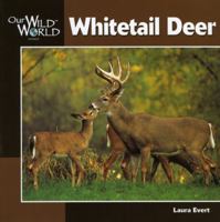 Whitetail Deer (Our Wild World Series) 1559717432 Book Cover