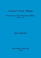 Caersws Vicus, Powys (British Archaeological Reports (BAR)) 0860546292 Book Cover