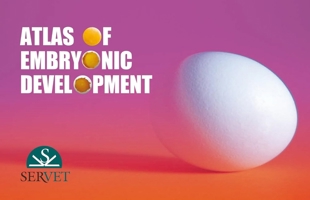Atlas of embryonic development 8494244981 Book Cover