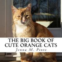 The Big Book of Cute Orange Cats: A text-free book for Seniors and Alzheimer's patients 1548590754 Book Cover