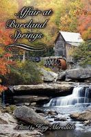 Affair at Boreland Springs 1886057095 Book Cover