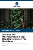 Analyse der Überexpression von Kandidatengenen für Resistenz (German Edition) 6207720067 Book Cover